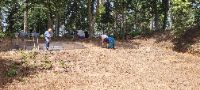 20240629_113205 (002)